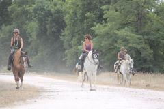 IMG_1315_resultat