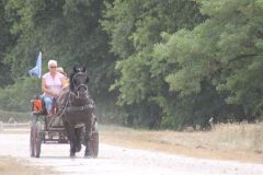 IMG_1322_resultat