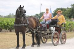 IMG_1324_resultat