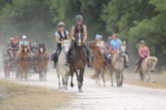 IMG_1326_resultat