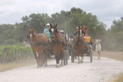 IMG_1331_resultat