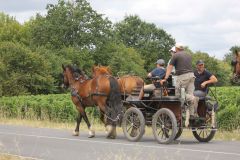 IMG_1333_resultat