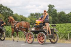 IMG_1334_resultat