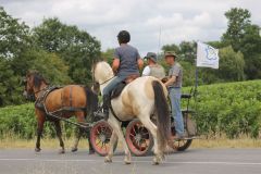 IMG_1335_resultat