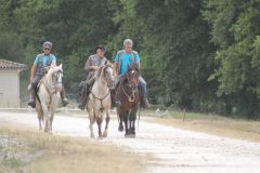 IMG_1336_resultat