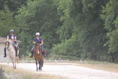 IMG_1338_resultat