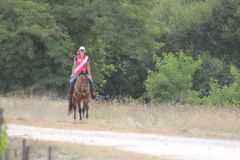 IMG_1342_resultat