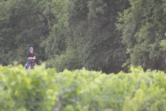 IMG_1343_resultat