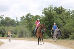 IMG_1346_resultat
