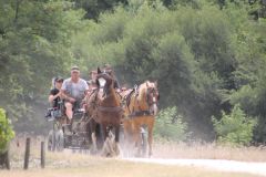 IMG_1350_resultat
