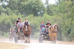 IMG_1351_resultat