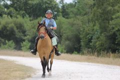 IMG_1354_resultat