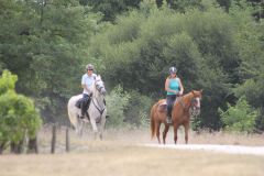 IMG_1356_resultat