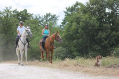 IMG_1358_resultat