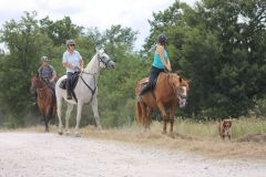 IMG_1359_resultat