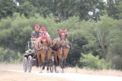 IMG_1365_resultat