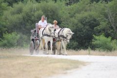 IMG_1367_resultat
