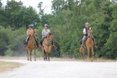 IMG_1371_resultat