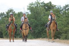 IMG_1372_resultat
