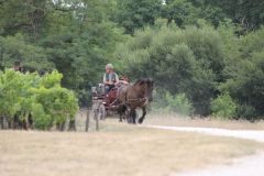 IMG_1373_resultat