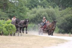IMG_1374_resultat