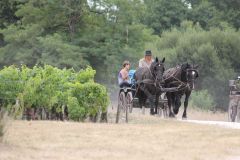 IMG_1375_resultat