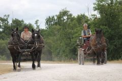 IMG_1376_resultat