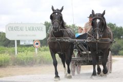 IMG_1377_resultat
