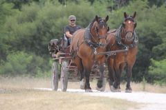 IMG_1379_resultat