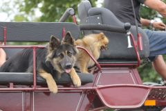 IMG_1381_resultat