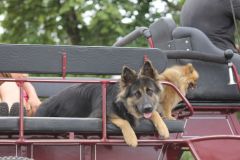 IMG_1382_resultat