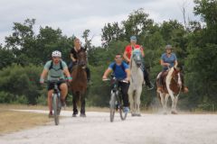 IMG_1386_resultat