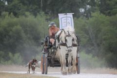 IMG_1389_resultat