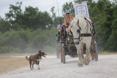 IMG_1390_resultat