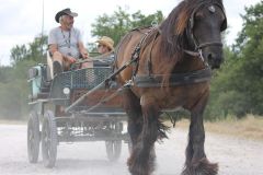 IMG_1392_resultat