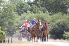 IMG_1399_resultat