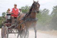 IMG_1401_resultat