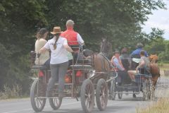 IMG_1403_resultat