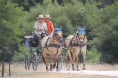 IMG_1404_resultat