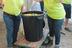 IMG_1445_resultat