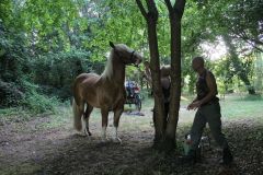 IMG_1585_resultat