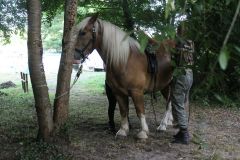 IMG_1586_resultat