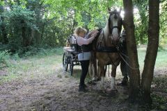 IMG_1589_resultat