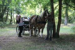 IMG_1590_resultat