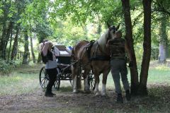IMG_1591_resultat