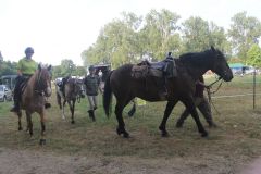 IMG_1598_resultat