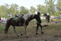IMG_1600_resultat