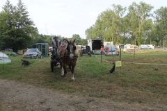 IMG_1601_resultat