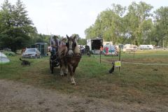IMG_1602_resultat