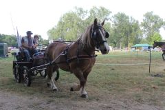 IMG_1603_resultat